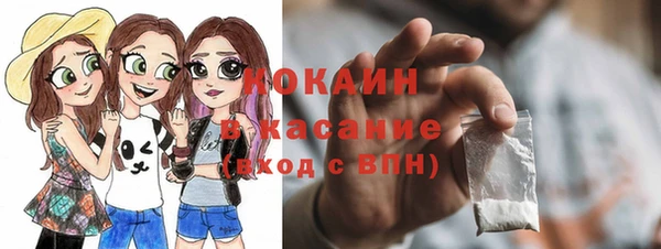 твердый Кулебаки