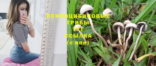 шишки Куйбышев