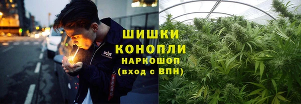 шишки Куйбышев