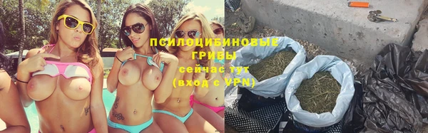 шишки Куйбышев