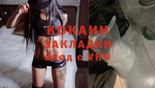 твердый Кулебаки