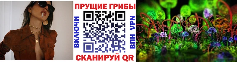 Псилоцибиновые грибы мицелий  Мензелинск 